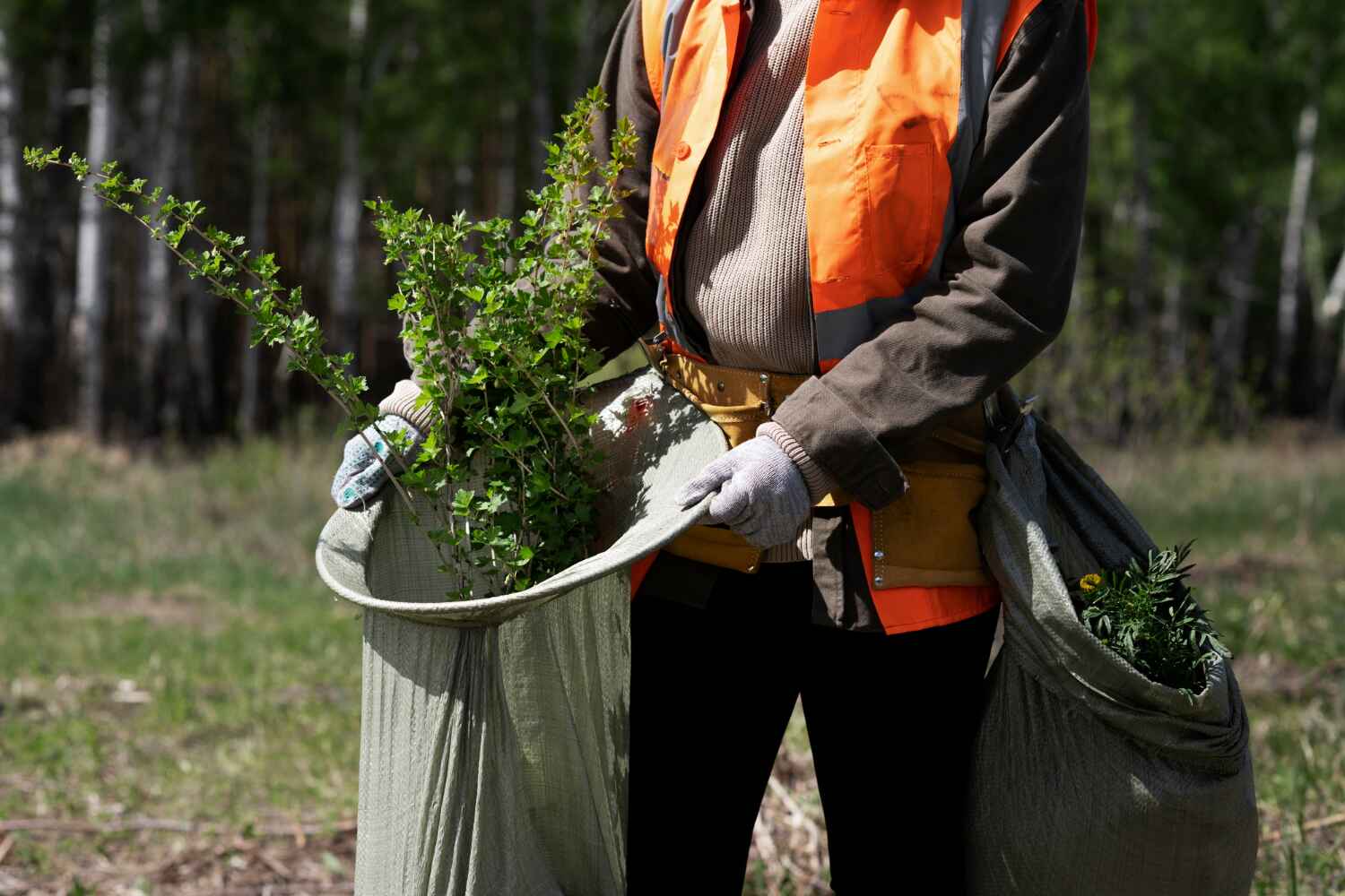 Best Large Tree Removal  in Beach City, TX